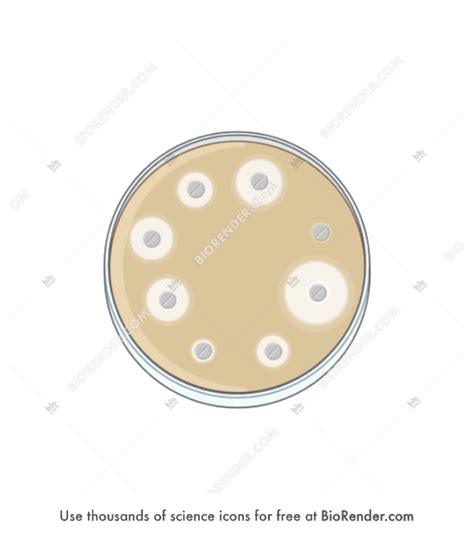 Free Petri dish antibiotic sensitivity test Icons, Symbols & Images | BioRender