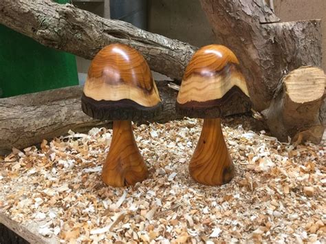 Pin by Bill Elliott on mushrooms | Wood turning, Wood carving art, Wood ...