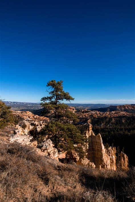 Bryce Canyon National Park | Rim Trail Guide | All You Need To Know! – Justin Fague