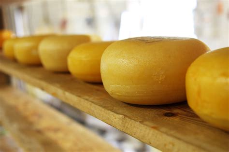 Cheese On Shelf Free Stock Photo - Public Domain Pictures