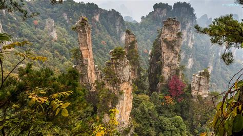 Chiny, Skały, Góry, Wulingyuan Scenic Area, Las, Hunan, Zhangjiajie National Forest Park