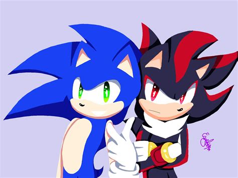 Sonic and Shadow / Sonic and Tails | Sonic the Hedgehog! Amino