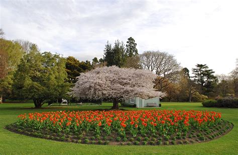 Gardens to visit - Christchurch Botanic Gardens