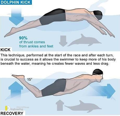 Learn Basic Swimming Techniques - Engineering Discoveries