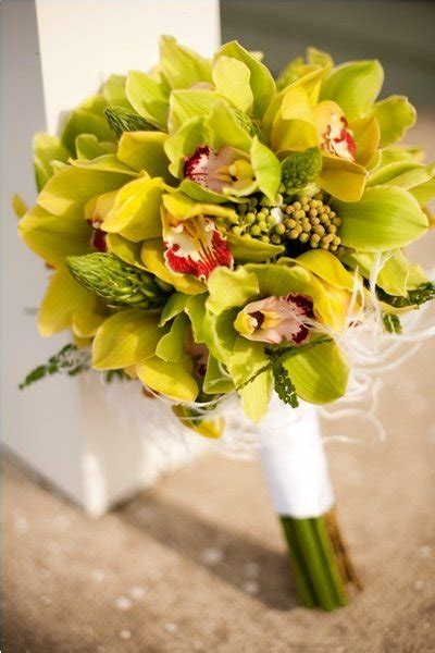 Bouquet Bridal: Green Orchids Wedding Bouquets