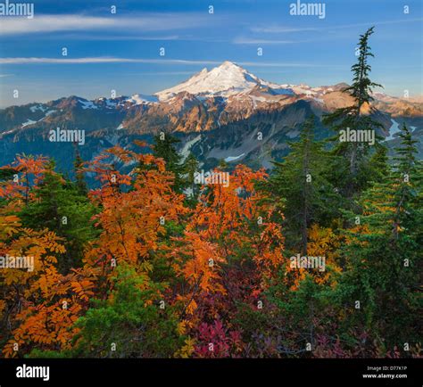 Mount Baker-Snoqualmie National Forest, WA: Mount Baker from Artists ...