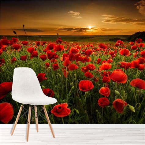 Poppy Field Sunset Wallpaper Wall Mural