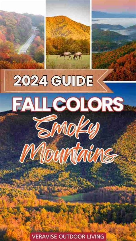 Fall Colors Smoky Mountains 2024