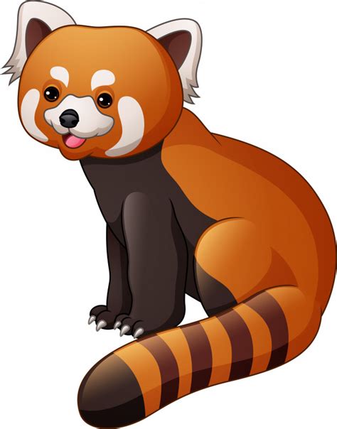 Red Panda Vector at Vectorified.com | Collection of Red Panda Vector ...