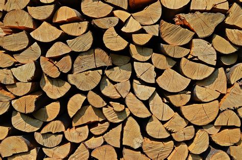 Free photo: Tree, Wood, Background, Nature - Free Image on Pixabay - 886903
