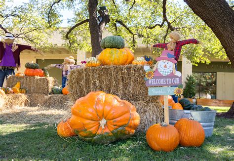 Visit the Pumpkin Patch | NorthPark Center