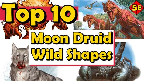 Top 10 Best Moon Druid Wild Shapes in DnD 5E - YouTube