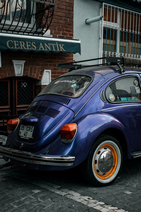 Blue Beetle Photos, Download The BEST Free Blue Beetle Stock Photos ...