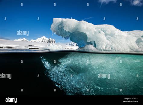 Antarctica, Underwater view of melting iceberg floating near Stock Photo: 63515316 - Alamy