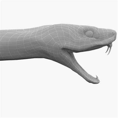 3d Snake Drawing | Free download on ClipArtMag