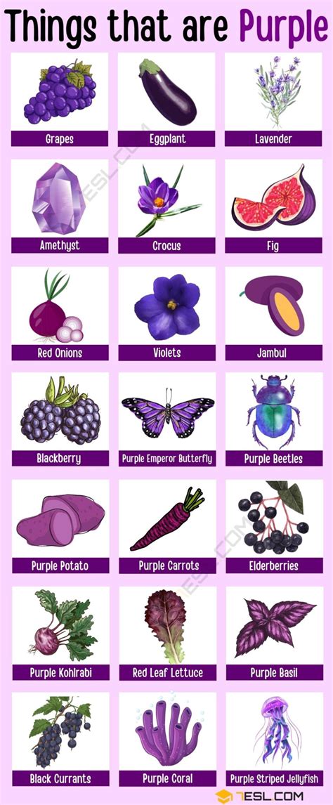 80+ Things that Are Purple in English • 7ESL