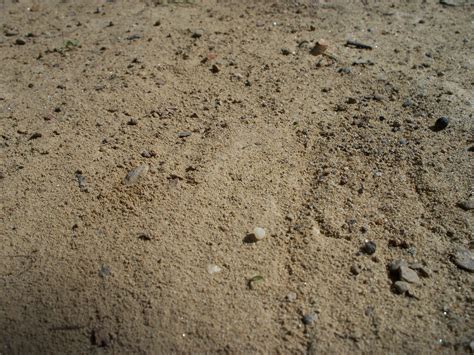 Brown Dirt Free Stock Photo - Public Domain Pictures