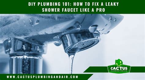 DIY Plumbing 101: How to Fix a Leaky Shower Faucet Like a Pro - Scottsdale, AZ Patch