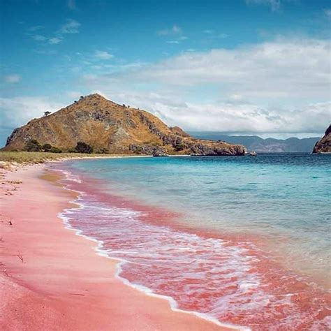 Pink Beach, Komodo National Park, Flores Island, Indonesia | Komodo ...