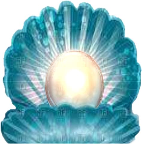 Pearl clipart shell sea pearl, Pearl shell sea pearl Transparent FREE ...