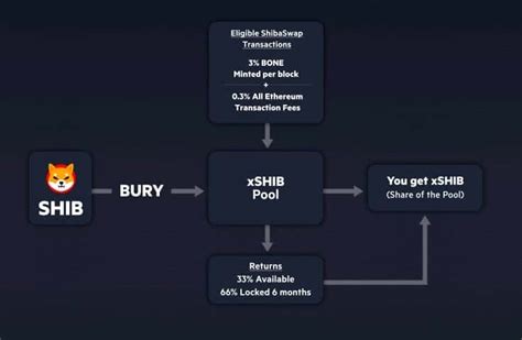 What is Shiba Inu (SHIB)? Read Before You Invest