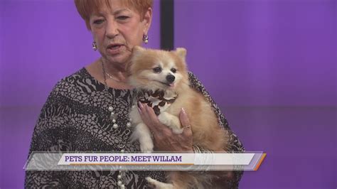 Pets Fur People: you can adopt Willam - YouTube