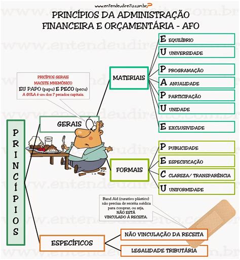 ENTENDEU DIREITO OU QUER QUE DESENHE ???: PRINCÍPIOS DA ADMINISTRAÇÃO ...