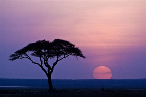 African Sunrise Photograph by Michele Burgess