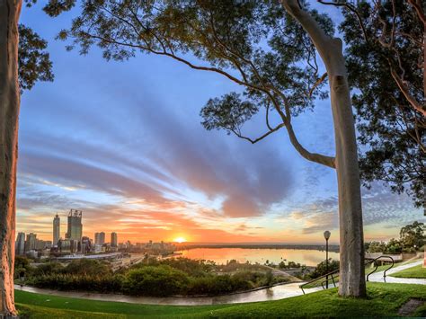 Beautiful Bushland at Kings Park and Botanic Garden | Travel Insider