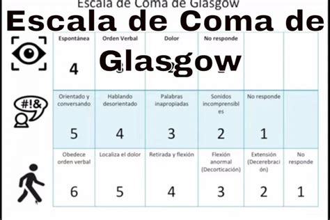 Escala del coma de glasgow | Actualizado agosto 2022