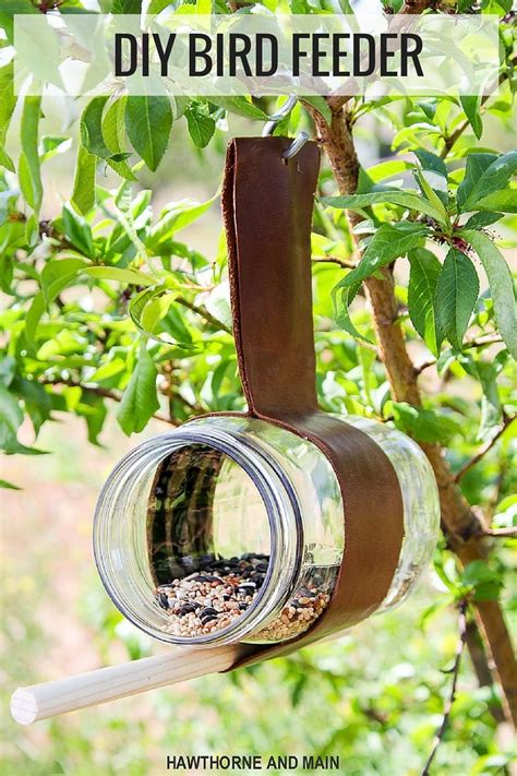 DIY Bird Feeder - Lil' Luna