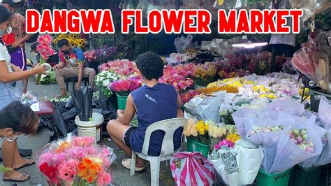 Dangwa Flower Market Dimasalang Road Sampaloc Manila Metro | Best Flower Site