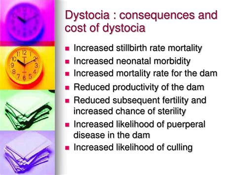 PPT - Dystocia : Causes, Treatment and Prevention PowerPoint ...