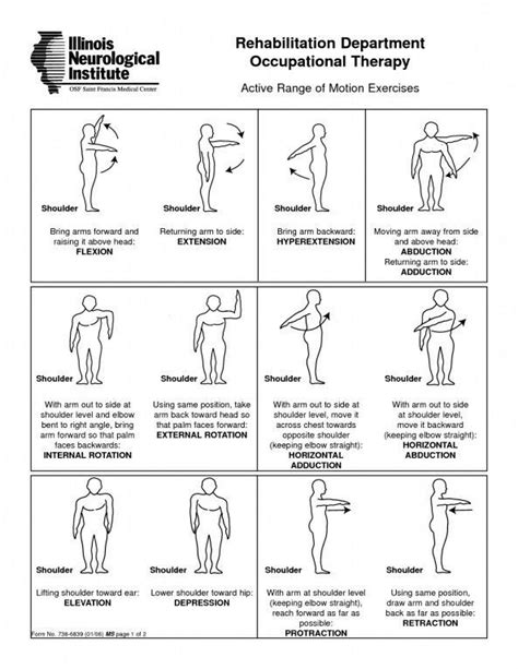 Printable Frozen Shoulder Exercises Pdf