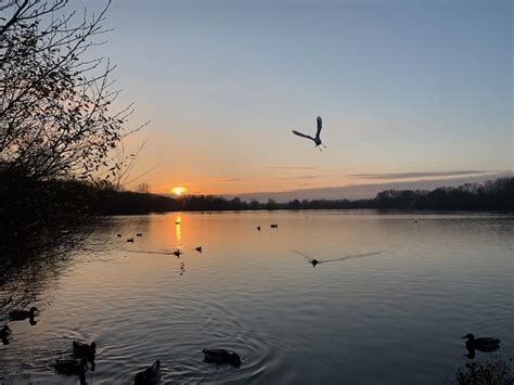 Rickmansworth Aquadrome - a stunning public park in Hertfordshire