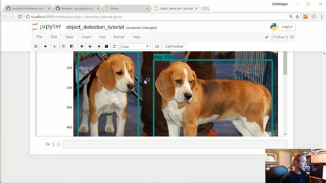 Tensorflow Object Detection Tutorial