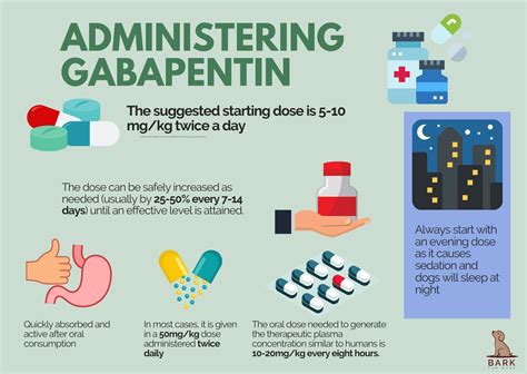 Ultimate Guide To Understanding Gabapentin For Dogs | Bark For More