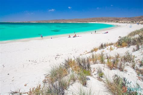 38 of the Best Beaches in Australia To Set Foot On