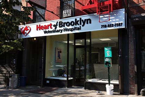 Best Veterinarians | Brooklyn, New York | Best4Pets