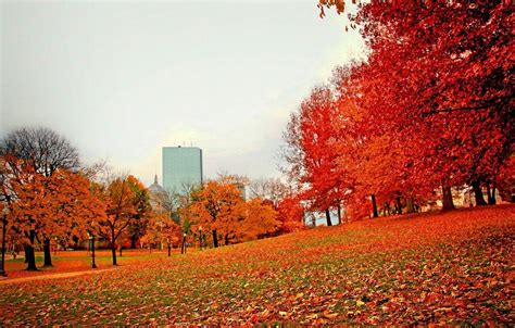 Boston Autumn 4K Wallpapers - Top Free Boston Autumn 4K Backgrounds - WallpaperAccess