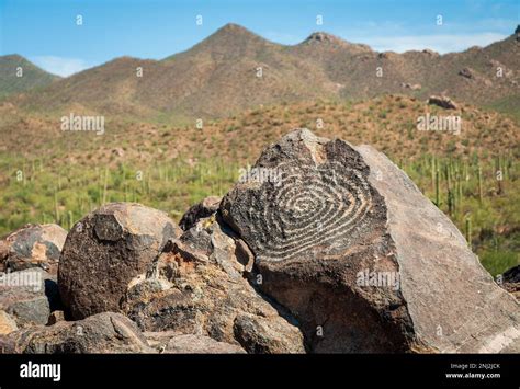 Saguaro National Park in Arizona, USA Stock Photo - Alamy