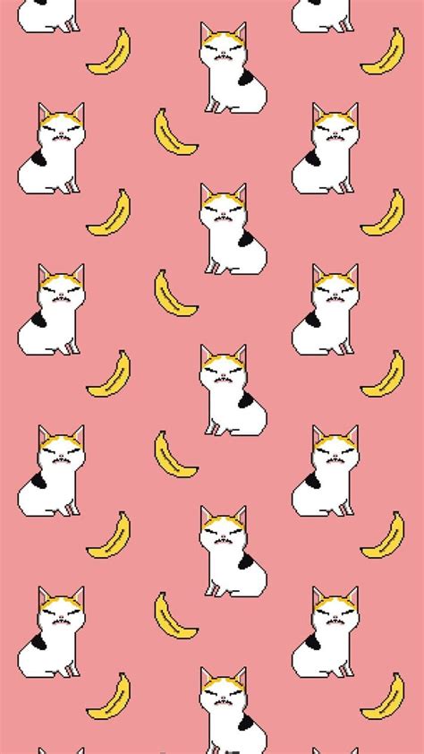 Background Banana Cat Wallpaper - EnWallpaper