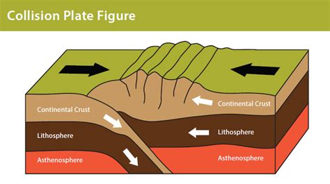 Plate Tectonics - Discovering Galapagos