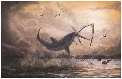 Evidence for the Cretaceous shark Cretoxyrhina mantelli feeding on the pterosaur Pteranodon from ...