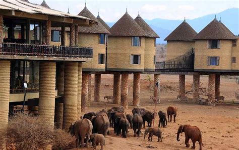 Taita Hills Sarova Salt Lick Game Lodge – African Safari Tours & Holidays Kenya Blog