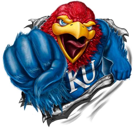 Jayhawk Shirt Design by RodgerPister on DeviantArt