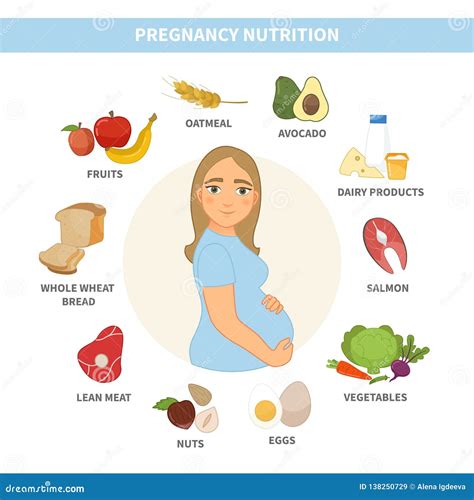 Infographic Nutrition of a Pregnant Woman. Stock Vector - Illustration ...