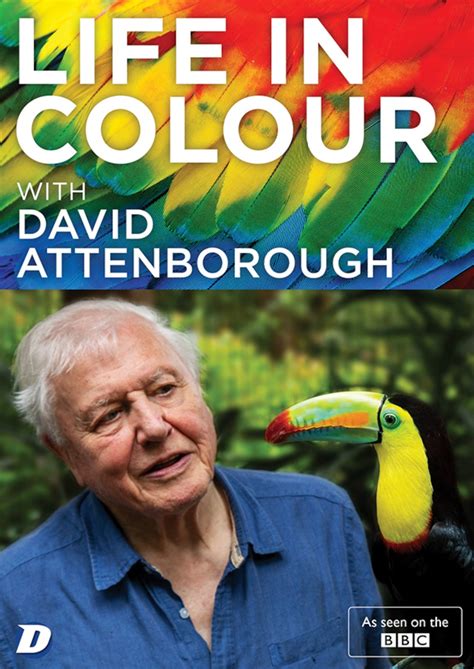 Life in Colour With David Attenborough | DVD | Free shipping over £20 | HMV Store