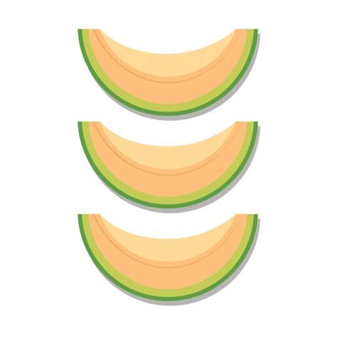 Best Cantaloupe Illustrations, Royalty-Free Vector Graphics & Clip Art - iStock