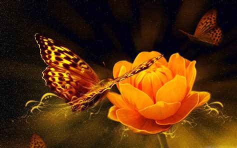 Magic Butterfly Mac Wallpaper Download | AllMacWallpaper